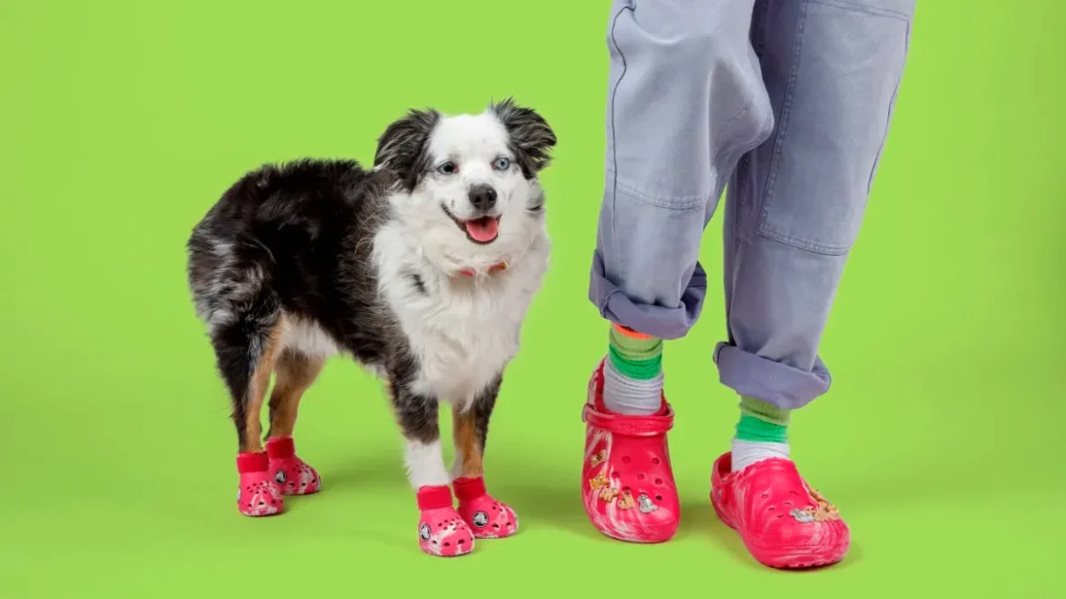 ¡Dale Estilo a Tu Perro con Crocs!