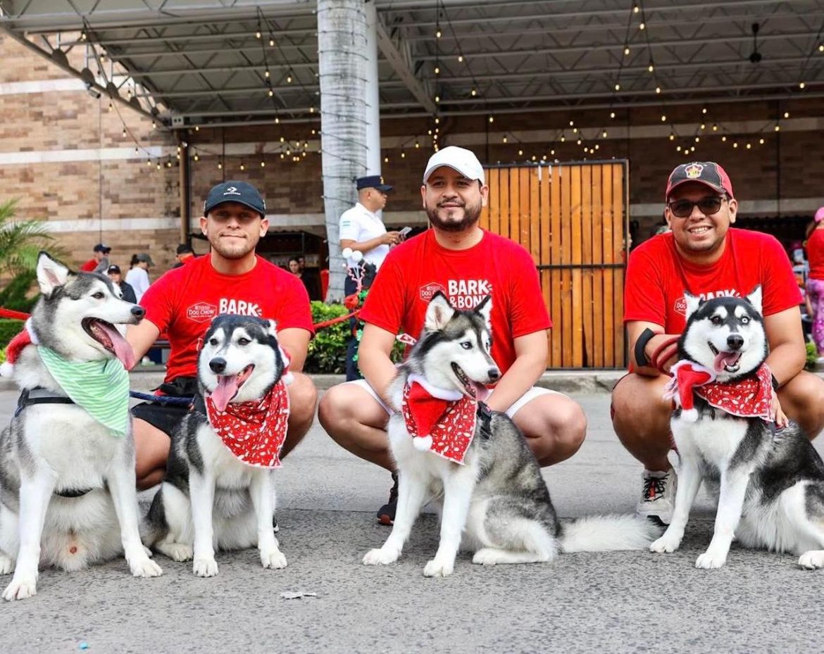 Bark & Bond 2025: una caminata navideña que unió mascotas, familias y comunidad